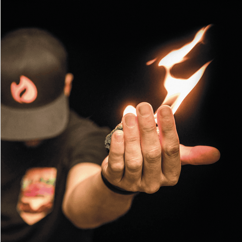 Maison 1608 par Solisco