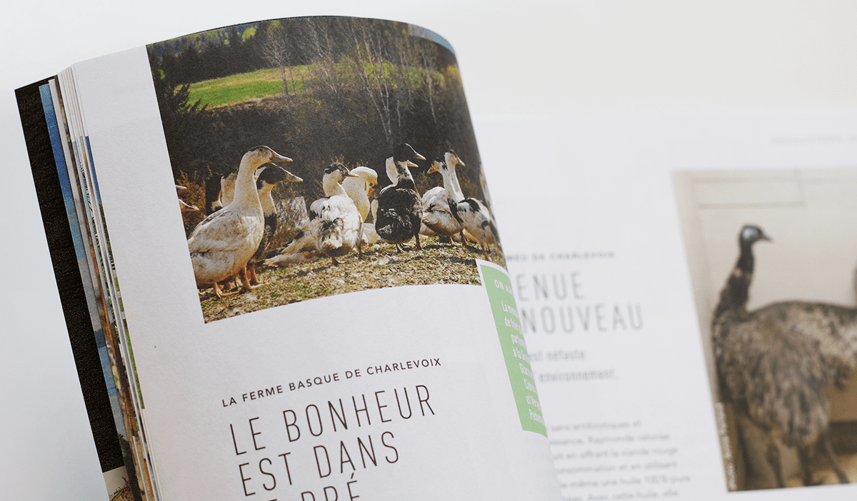 Maison 1608 par Solisco