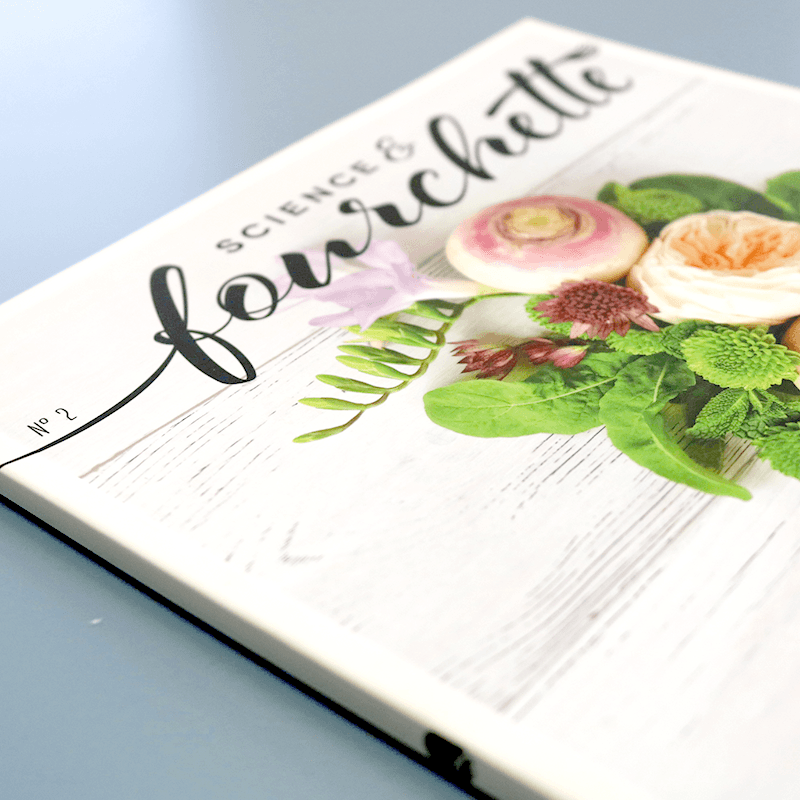 Maison 1608 par Solisco