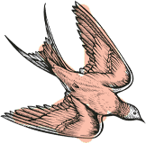 Maison 1608 par Solisco