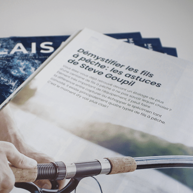 Maison 1608 par Solisco