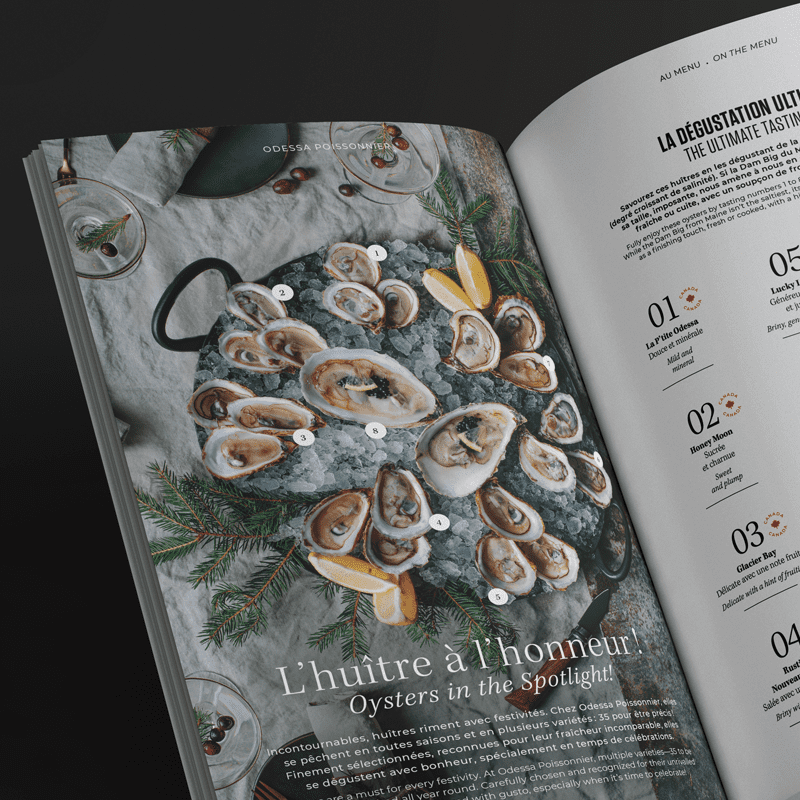 Maison 1608 par Solisco