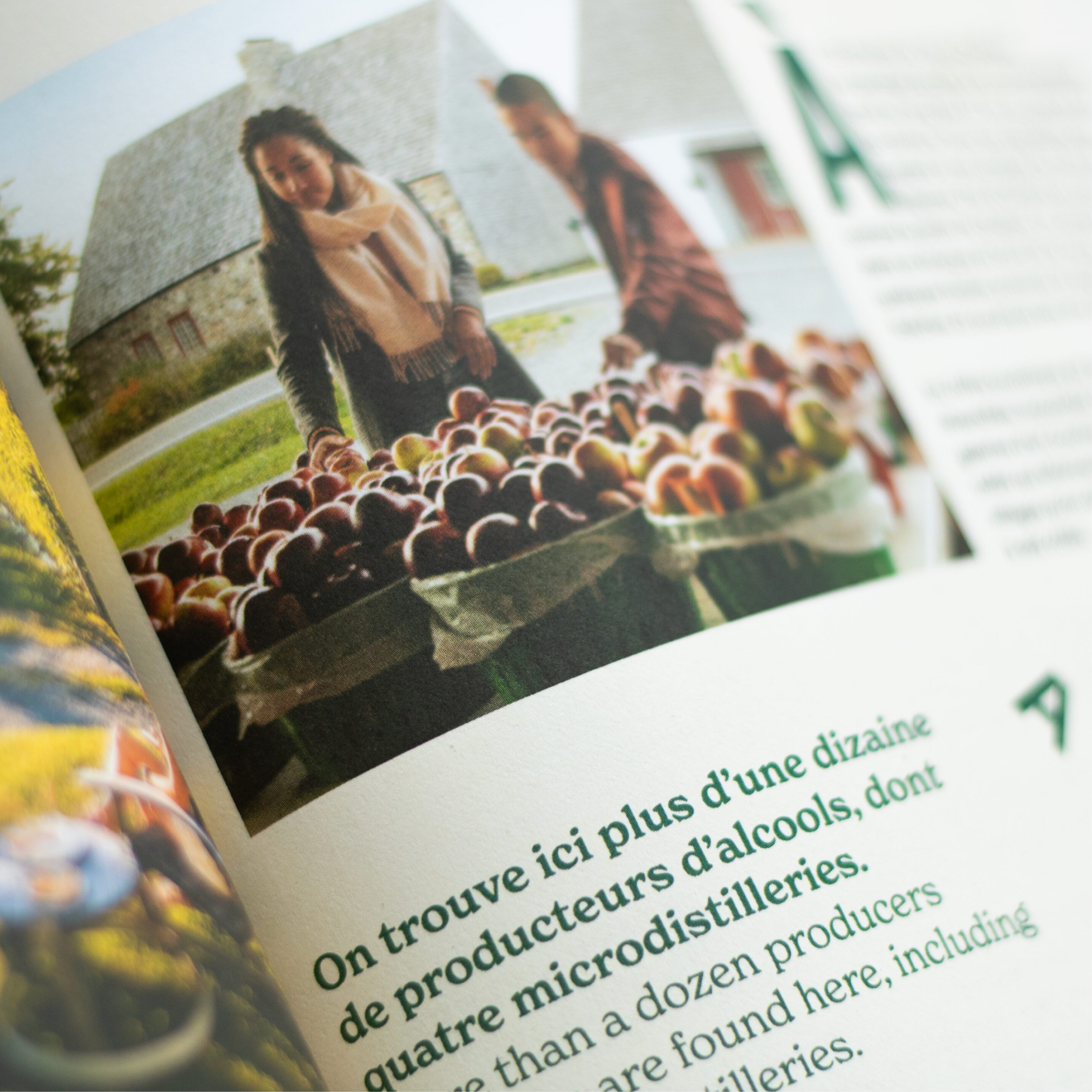 Maison 1608 par Solisco