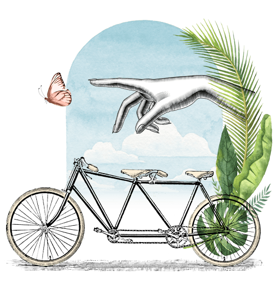 Maison 1608 par Solisco