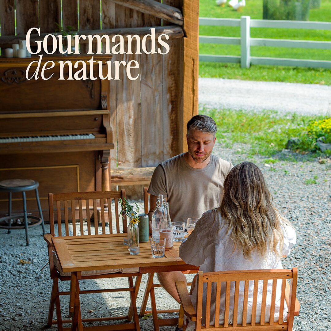 Maison 1608 par Solisco